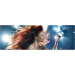 23-01-2014 - mcs_marketing - Andrea Berg - banner.jpg